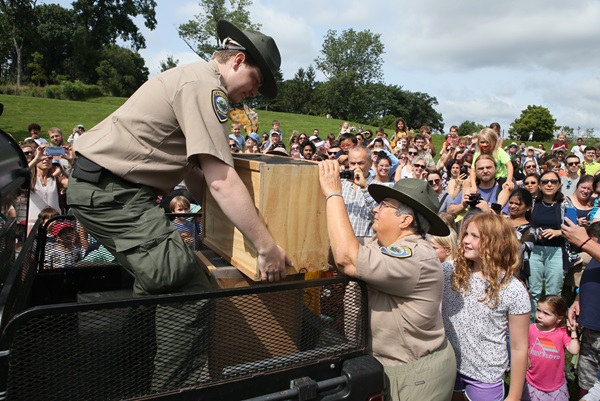 Rangers getting the butterfly cages ready