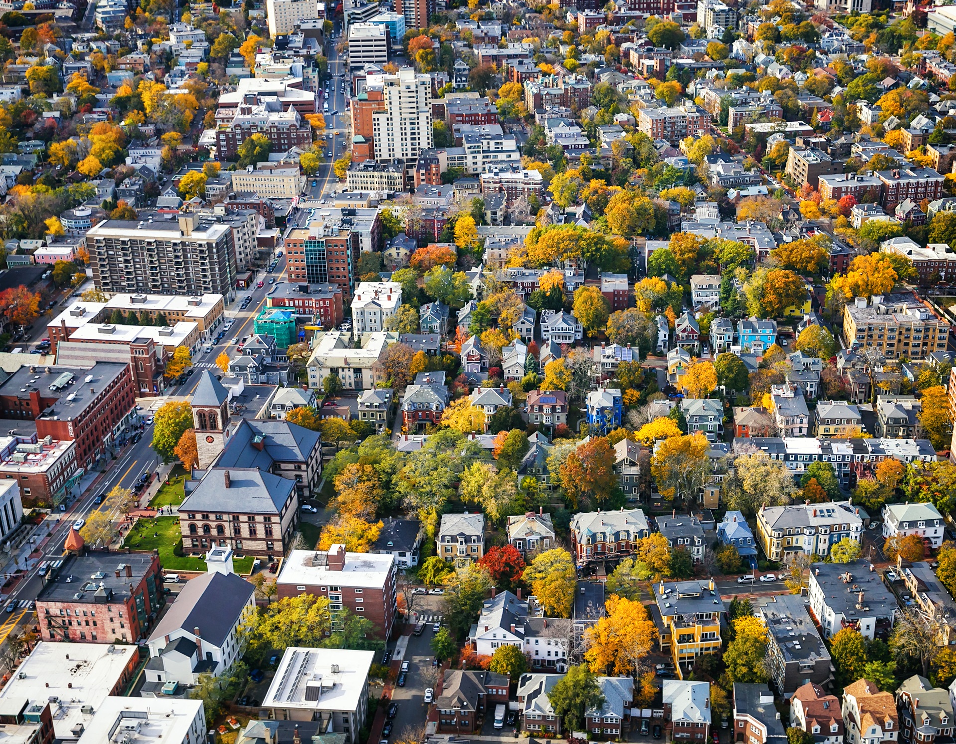 Urban Forest Master Plan City of Cambridge, MA