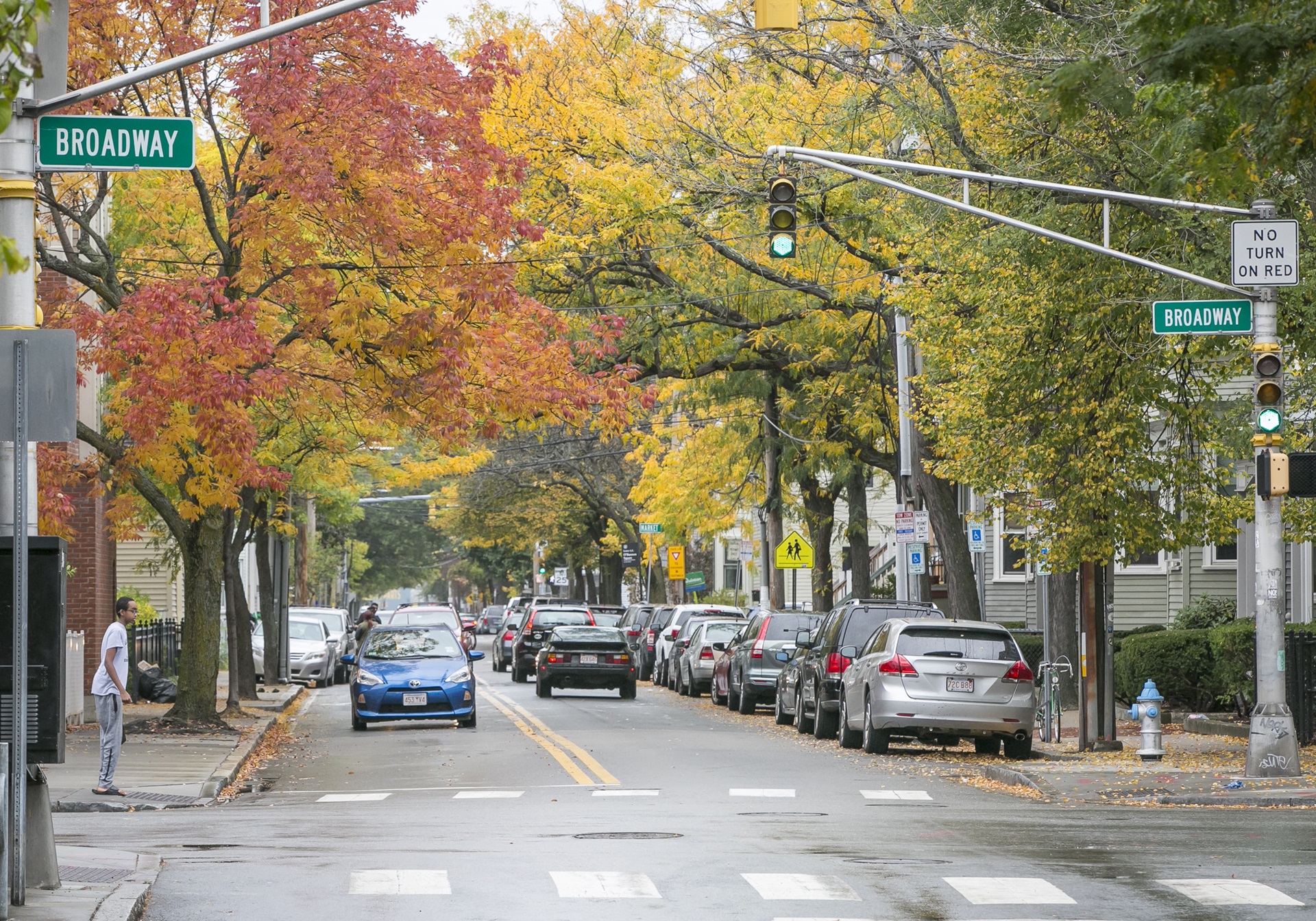 Urban Forestry City of Cambridge, MA
