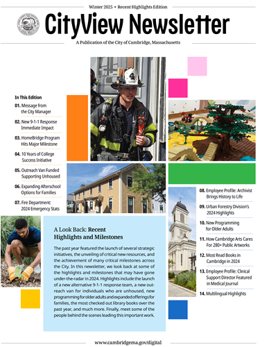 Cover image of the শীতকালীন 2025 issue of 2024 সাল ফিরে দেখা 