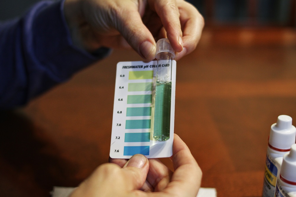 Person holding a vial of water against a freshwater pH color chart to test the water.