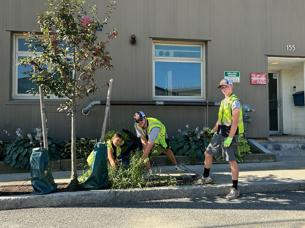 Participants planting a tree