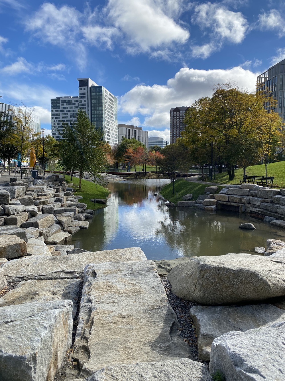 An image of Cambridge Crossing by Lauren Kershberg