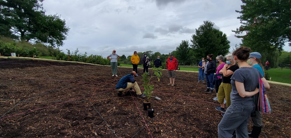 City Urban Forestry Efforts