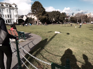 Off leash dog park