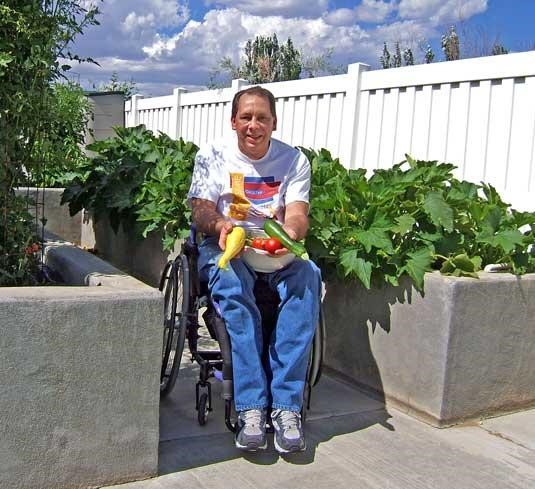 Man in a wheelchar between two raised garden beds, holding fresh vegetables