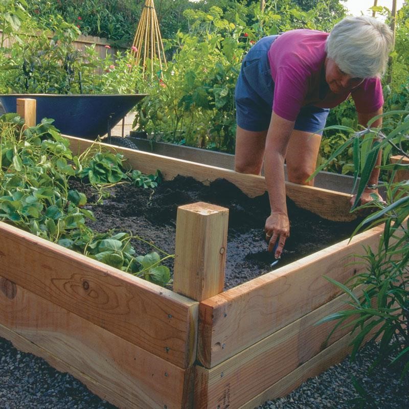 Woman planting vegetables in a raised garden bed