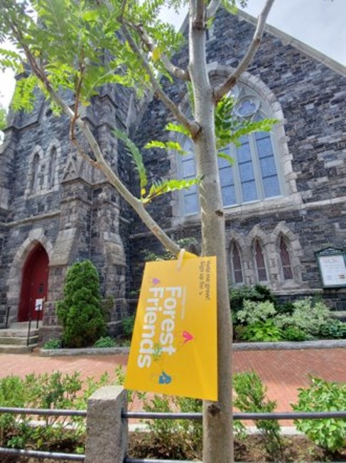 From left to right: A Cambridge tree with a Forest Friend’s tag, a Forest Friends tree planting event.