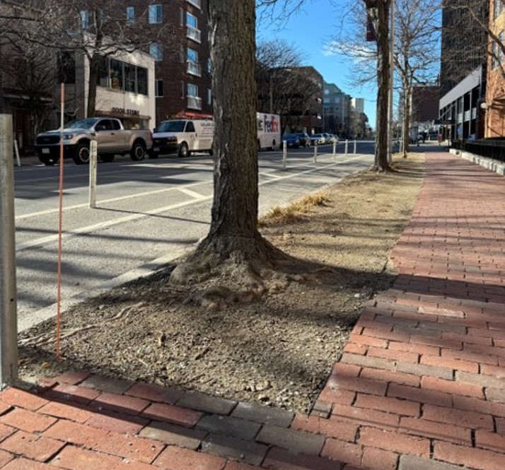 connecting tree space