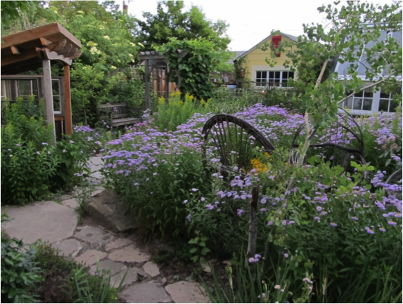 Picture of a path through a garden with flowers in bloom