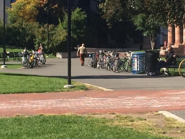 Path showing all bike rack spaces in use