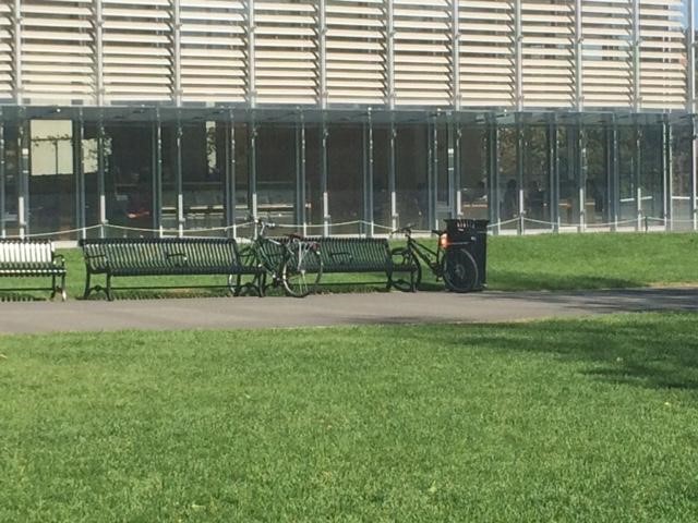 Two bicycles locked to a bench
