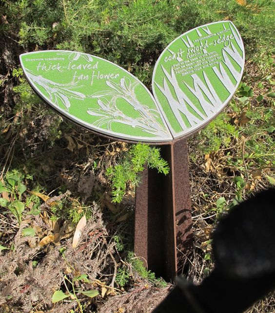 Sign describing Huck-Leaved Fan Flower and Coast Sword-Sedge