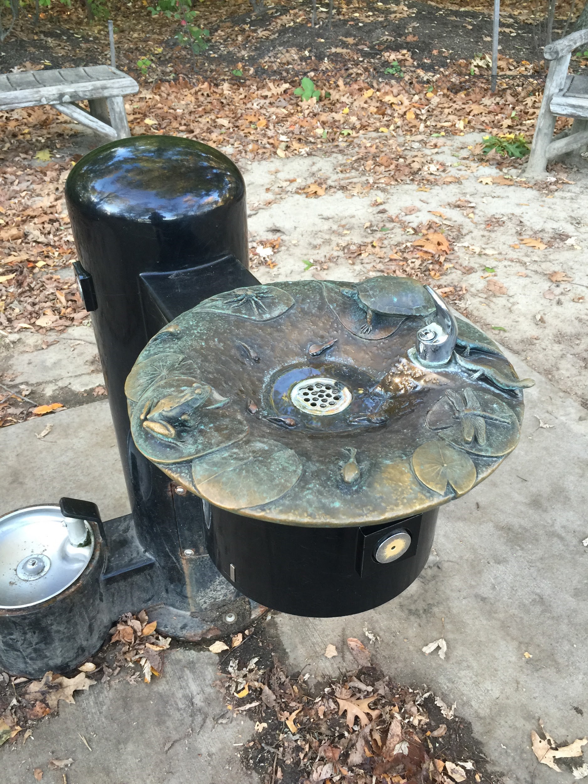 Drinking fountain decorated to look like a pond with lilly pads, frogs, turtles and dragonflies