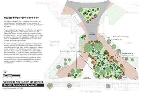 rain garden photo