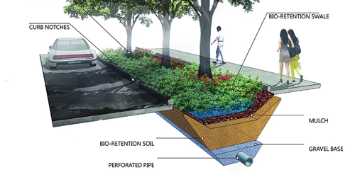 Bioswales will be sited in non-parking areas.