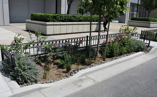 Bioswales will be sited in non-parking areas.