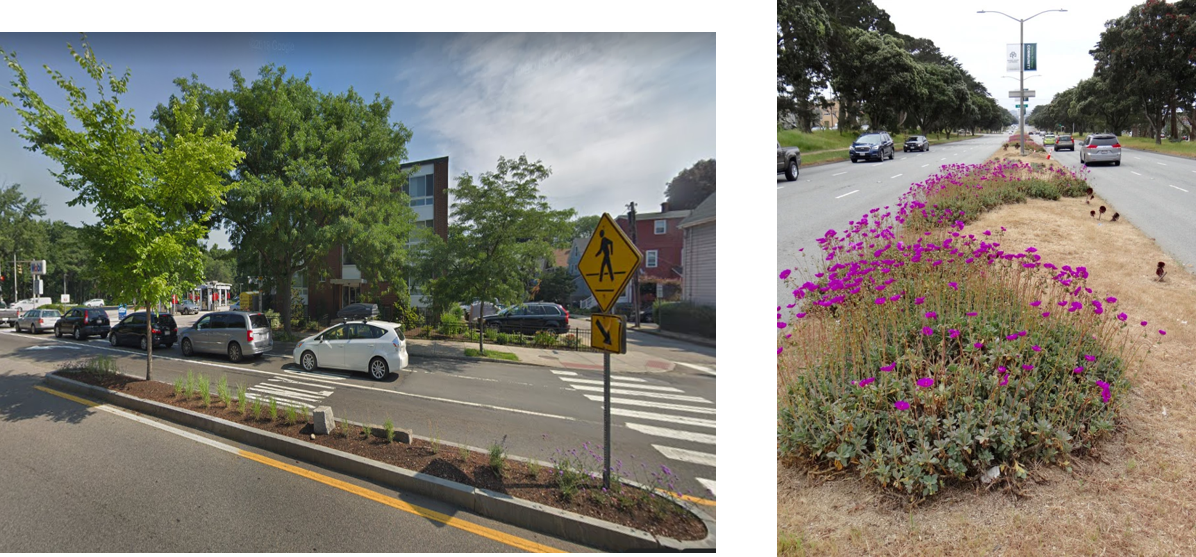 Blooming plantings along Aberdeen Avenue!