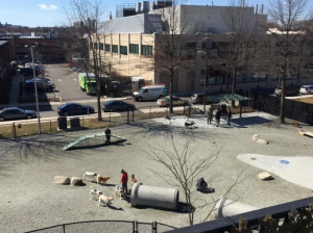 Many dog parks have multiple amenities for dogs and their owners.