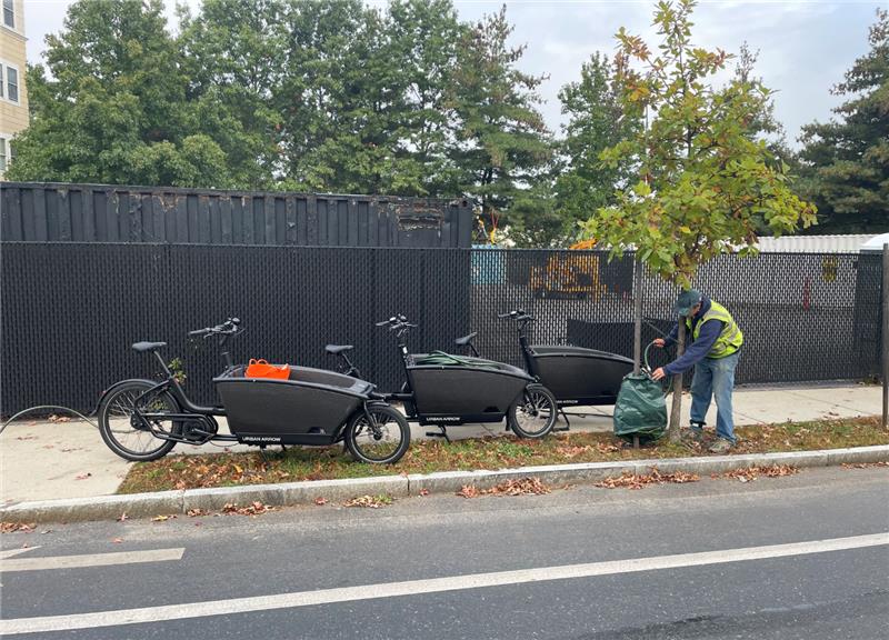 Multiple electric bikes with large storage compartments between the handlebars and the front wheels.
