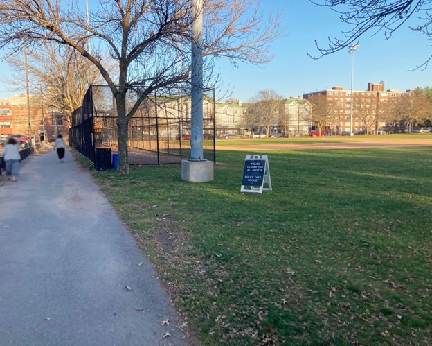 A baseball diamond. There are trees along the foul lines and behind the backstop.