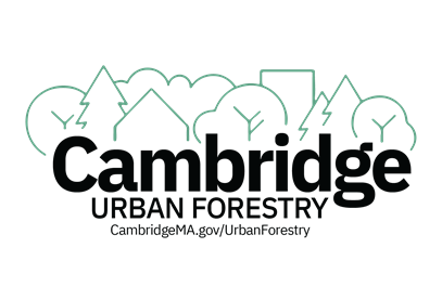 Logo for the Cambridge Department of Public Works Urban Forestry Division